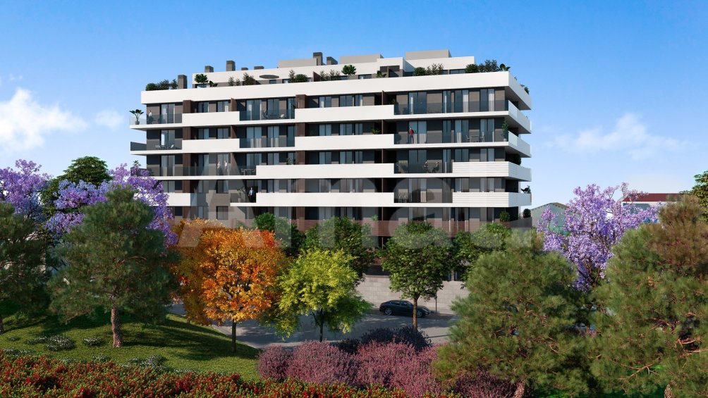 PARADIS DEL MAR- Àtic nou envoltat per gran terrassa -8