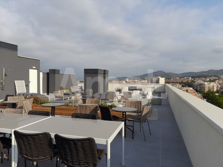 Brand-new flat for rent in Montesa-La Plana -22