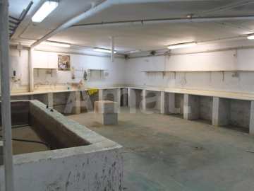 Nave industrial en alquiler con excelentes comunicaciones en Sant Just Desvern -14