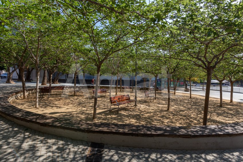Fantástico piso de 3 habitaciones junto a la Plaza de la Carpa. -28