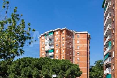 Fantástico piso de 3 habitaciones junto a la Plaza de la Carpa. -31