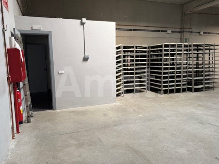 Industrial warehouse for rent in the Les Grases Industrial Estate, Sant Feliu de Llobregat -15
