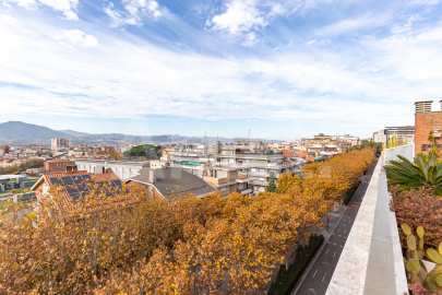 Duplex penthouse available for seasonal rent -47