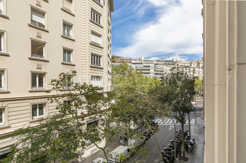 Spacious flat next to Turó Parc and Francesc Macià -19