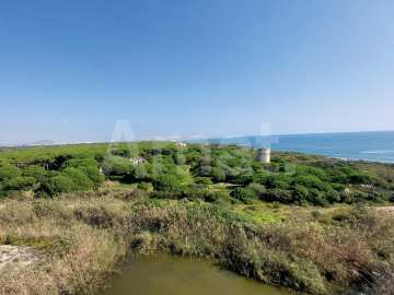 Discover a SINGULAR lifestyle -16