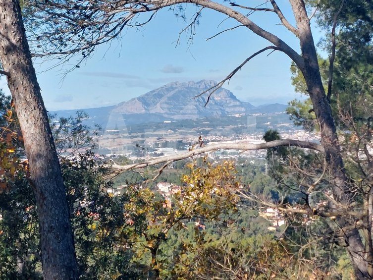 Terreny a la Floresta -4