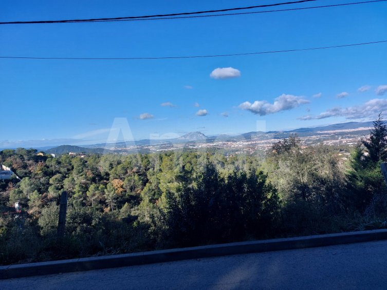 Terreny a la Floresta -7