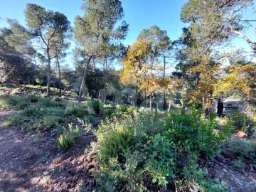 Terreny a la Floresta -5