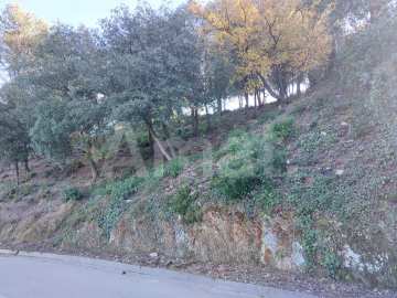 Terreny a la Floresta -9