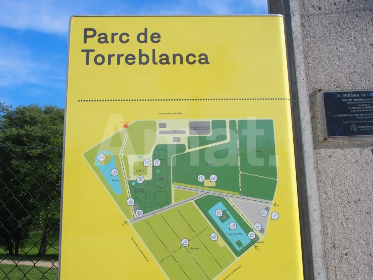 Local comercial seminuevo, en la carretra, al lado de Torreblanca -14