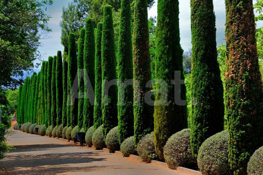 Local comercial seminuevo, en la carretra, al lado de Torreblanca -15