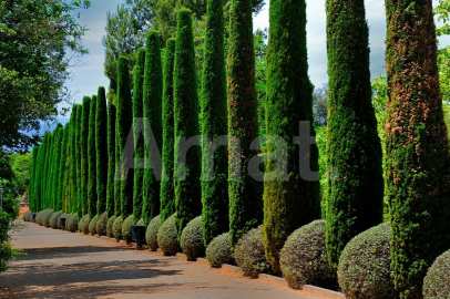 Local comercial seminuevo, en la carretra, al lado de Torreblanca -15