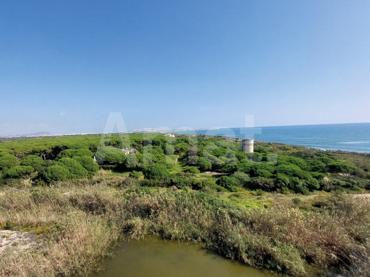 SINGULAR - Gran piso nuevo de 4 dorm., en el centro -20