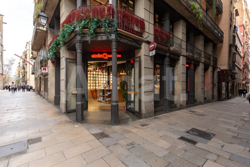 Piso en el Born, cerca de la playa y Parque Ciutadella -26