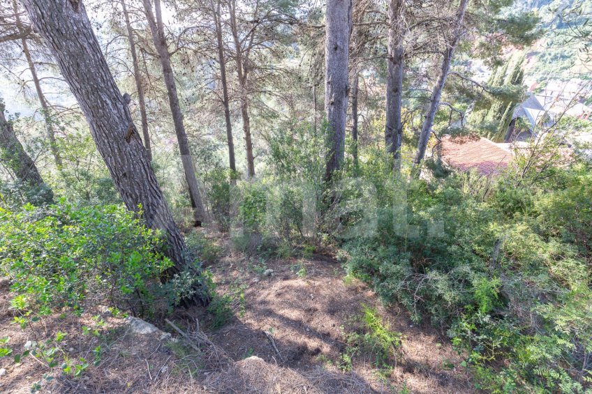 OPORTUNITAT ÚNICA A VALLIRANA -42