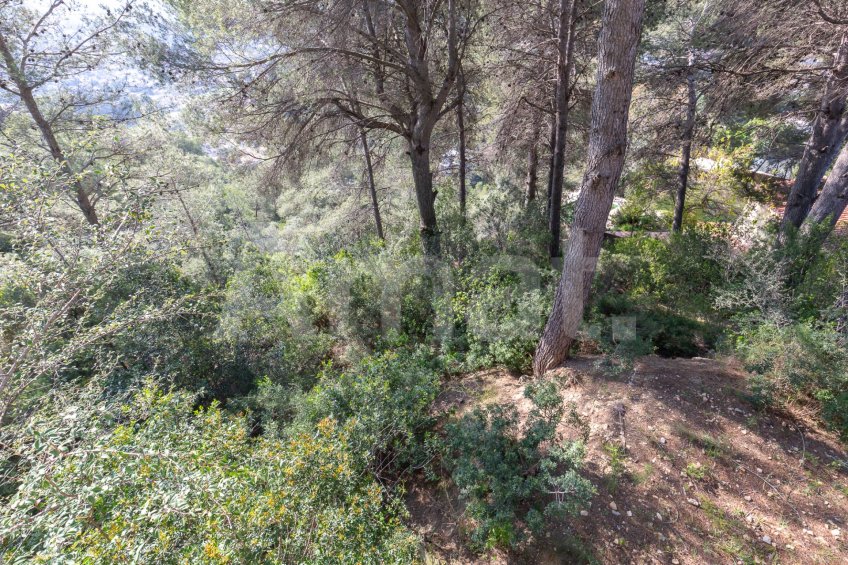 OPORTUNITAT ÚNICA A VALLIRANA -43