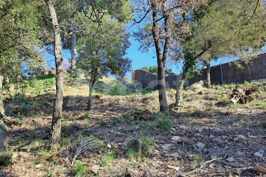 Solar en Sant Bartomeu de la Quadra, en plena naturaleza -11