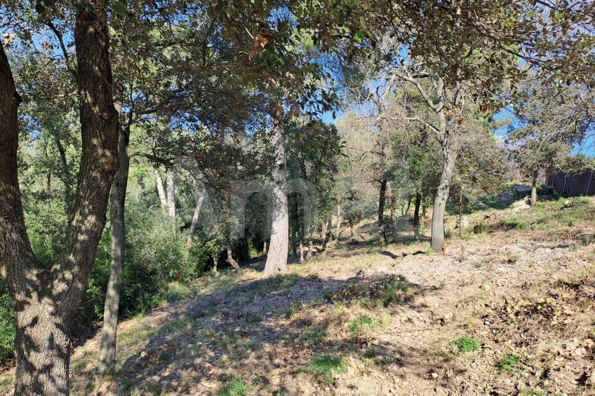 Solar en Sant Bartomeu de la Quadra, en plena naturaleza -15