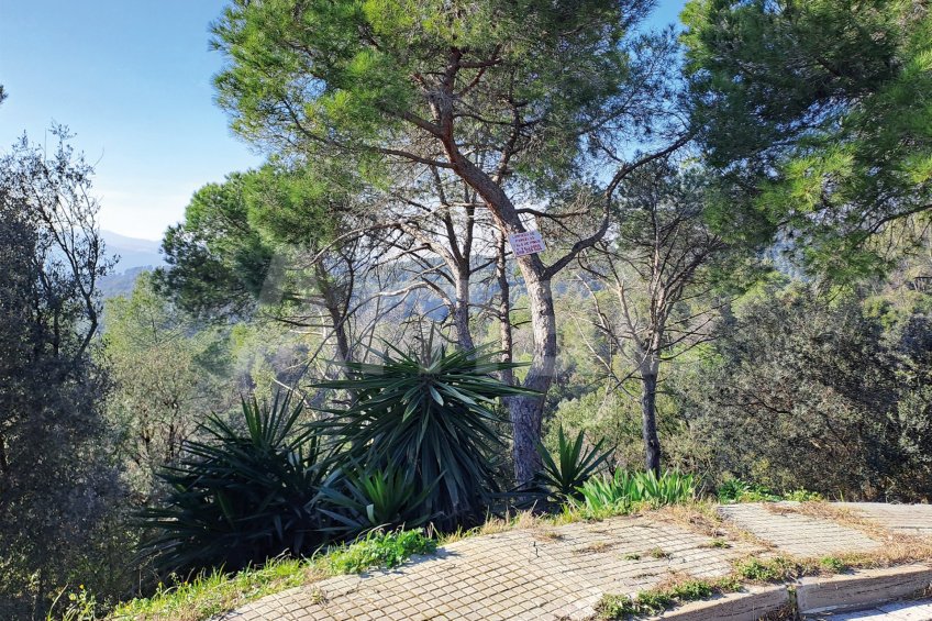 Solar en Sant Bartomeu de la Quadra, en plena naturaleza -19