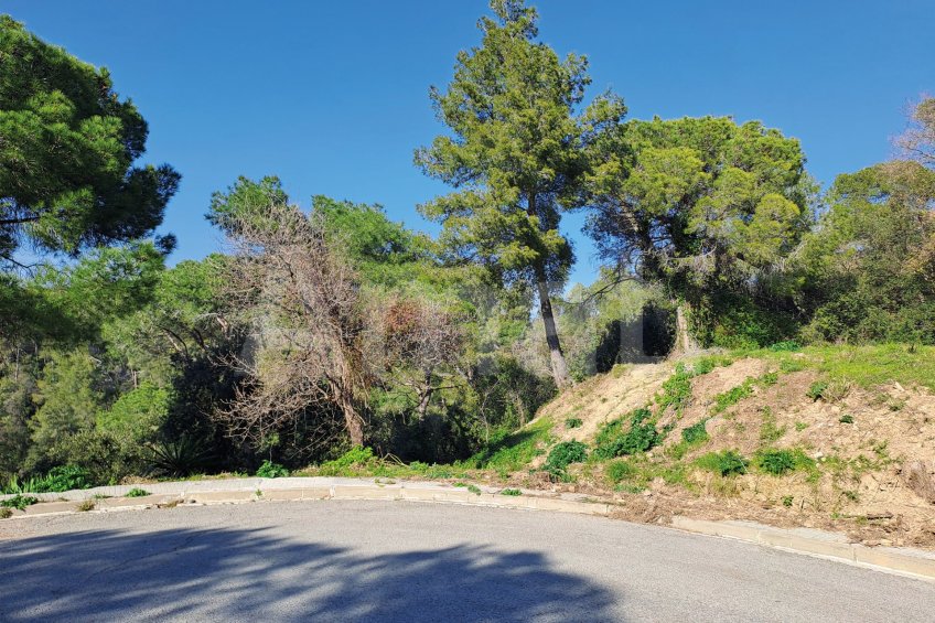 Solar en Sant Bartomeu de la Quadra, en plena naturaleza -5