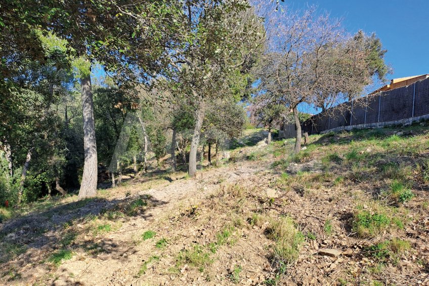 Solar en Sant Bartomeu de la Quadra, en plena naturaleza -6