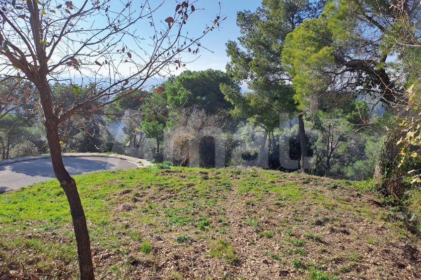 Solar en Sant Bartomeu de la Quadra, en plena naturaleza -7