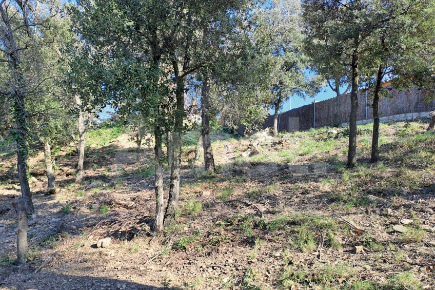 Solar en Sant Bartomeu de la Quadra, en plena naturaleza -8