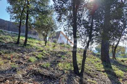 Solar en Sant Bartomeu de la Quadra, en plena naturaleza -10