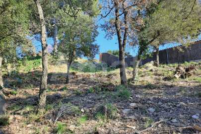 Solar en Sant Bartomeu de la Quadra, en plena naturaleza -11