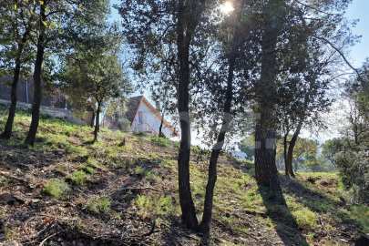 Solar en Sant Bartomeu de la Quadra, en plena naturaleza -12