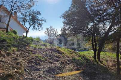 Solar en Sant Bartomeu de la Quadra, en plena naturaleza -13