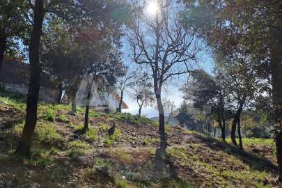 Solar en Sant Bartomeu de la Quadra, en plena naturaleza -14