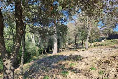 Solar en Sant Bartomeu de la Quadra, en plena naturaleza -15