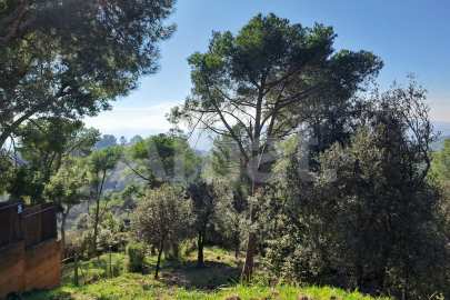 Solar en Sant Bartomeu de la Quadra, en plena naturaleza -16