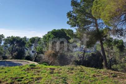 Solar en Sant Bartomeu de la Quadra, en plena naturaleza -18