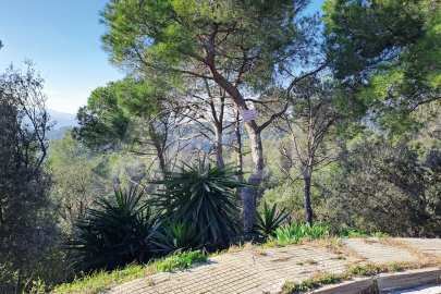 Solar en Sant Bartomeu de la Quadra, en plena naturaleza -19
