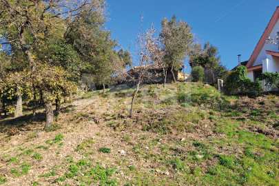 Solar en Sant Bartomeu de la Quadra, en plena naturaleza -2