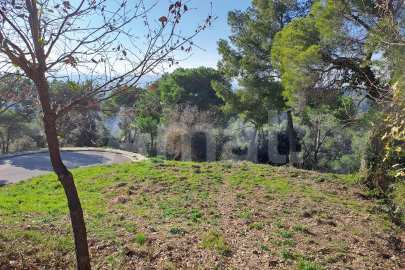 Solar en Sant Bartomeu de la Quadra, en plena naturaleza -7