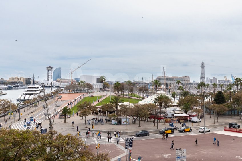 1840 APARTMENTS– Renovated and furnished 2-bedroom flat with pool -13