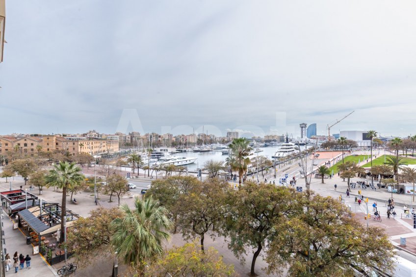 1840 APARTMENTS– Renovated and furnished 2-bedroom flat with pool -15