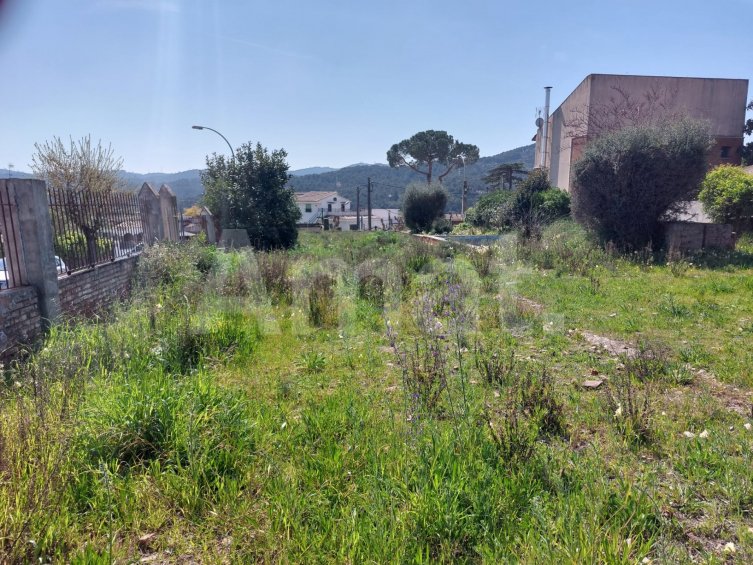 Terreno céntrico y esquinero, en La Martinica -5