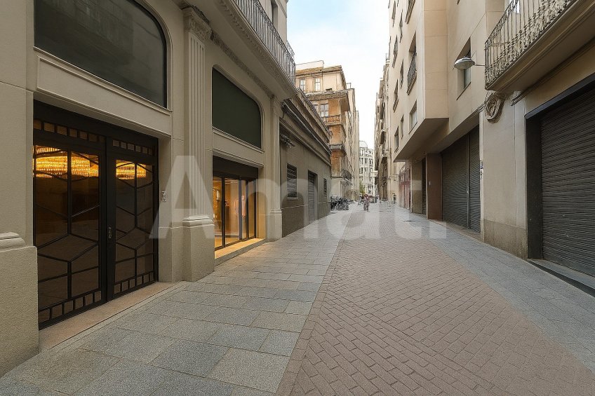 Magnífic local a Séneca. -12