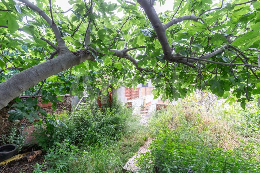 Casa amb vistes, a Finestrelles tocant a Collserola -51