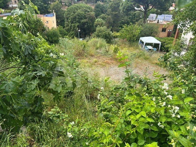 Terreno en la Floresta
