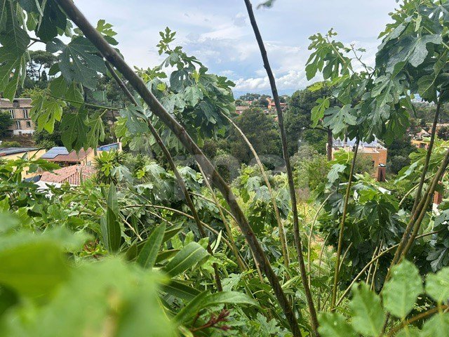 Terreno en la Floresta -7