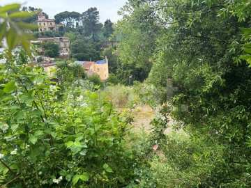 Terreno en la Floresta -2