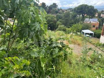 Terreno en la Floresta -4