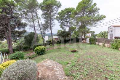 Casa amb gran terreny, i vistes a Mas Roig -33