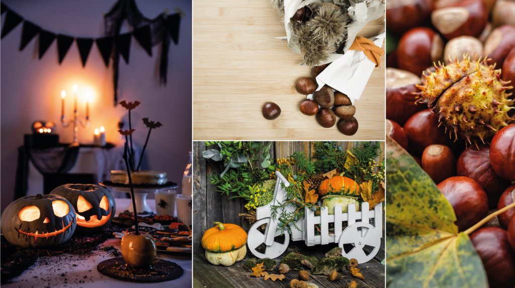 Ideas para decorar tu casa en Halloween y la Castañada 5